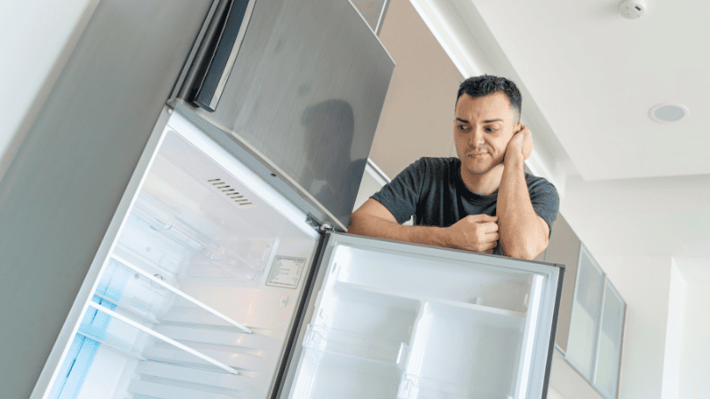 Guia Completo de Geladeira: Escolha, Uso e Manutenção guia completo geladeira sandiasshop
